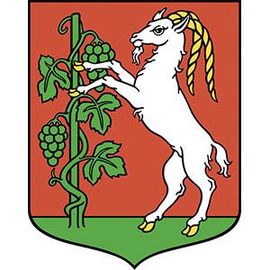 Университеты Люблина
